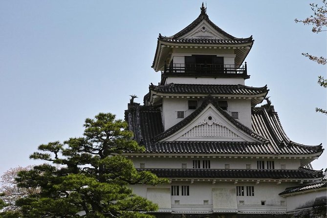 1-Day Kochi Highlights Tour with local guide - Makino Botanical Garden on Godaiyama: plant science in a beautiful setting