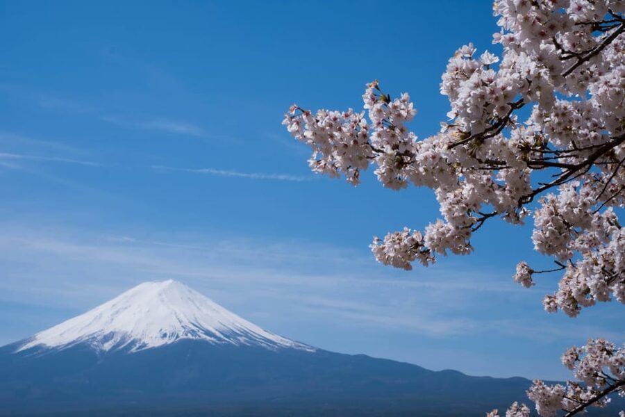 1-Day Mt Fuji and Hakone Sightseeing trip from Tokyo - Why this Mt Fuji and Hakone combo makes sense in one day