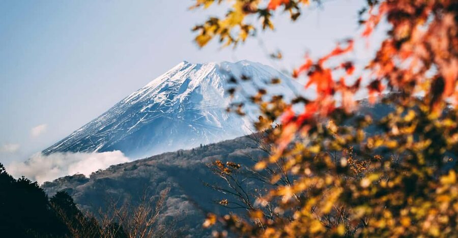 1-Day Mt Fuji and Hakone Sightseeing trip from Tokyo - Pickup and drop-off: choosing Yokohama, Chiba, or Tokyo