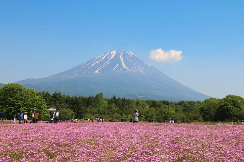 1-Day Mt Fuji and Hakone Sightseeing trip from Tokyo - Hakone Shrine: a calm cultural landing to close the day