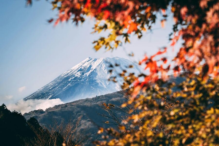 1-Day Mt Fuji and Hakone Sightseeing trip from Tokyo - Price and value, including what you need to pay separately