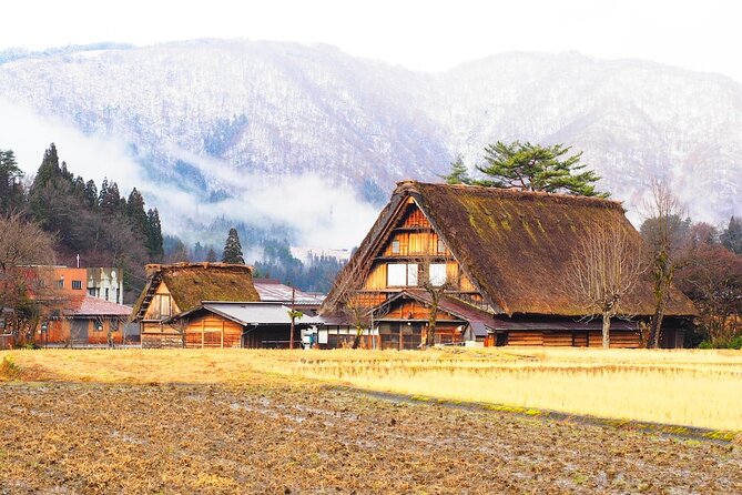 1 Day Private Charter Tour to Shirakawa-go & Takayama - Private charter to Shirakawa-go and Takayama: why this route is worth one day