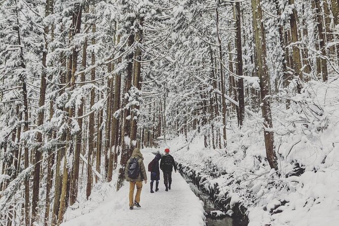 1-Day Snow Monkeys, Zenko-ji Temple & Sake in Nagano - Jigokudani Snow Monkey Park: seeing macaques without breaking the rules