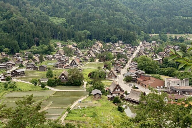 1-Day Takayama Tour: Explore Scenic Takayama and Shirakawago - Price and value: $177.06 for two towns done in one shot