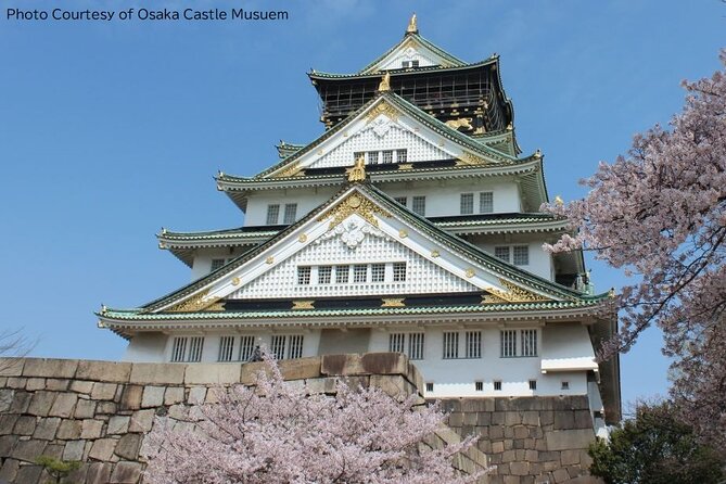 1 Day Takoyaki Making and Osaka Castle Walking Tour - Key highlights worth planning for