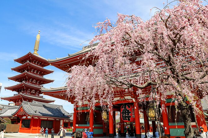 1-Day Tokyo Bus Tour - Key highlights that make this tour worth your time