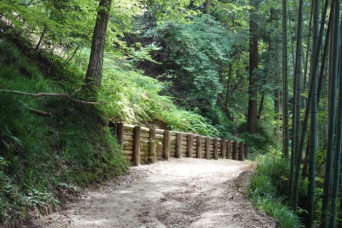 1-Day Tour from Matsumoto: Walk the Nakasendo Trail - Price and value: is $211.37 a fair deal for this Nakasendo day?