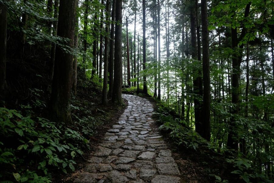 1-Day Tour from Nagoya: Hiking the Historic Nakasendo Trail - The 2 Hours on the Bus: Your Time to Prep for Real Walking