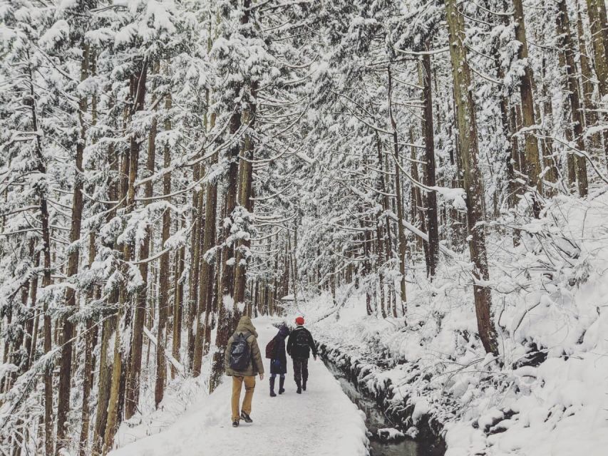 1 Day Tour: Snow Monkeys & Snow Fun in Shiga Kogen - Who this tour is best for