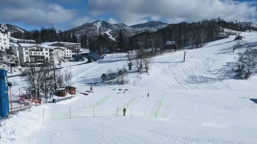 1 Day Tour: Snow Monkeys & Snow Fun in Shiga Kogen - Jigokudani Snow Monkeys: what makes them special beyond the photos