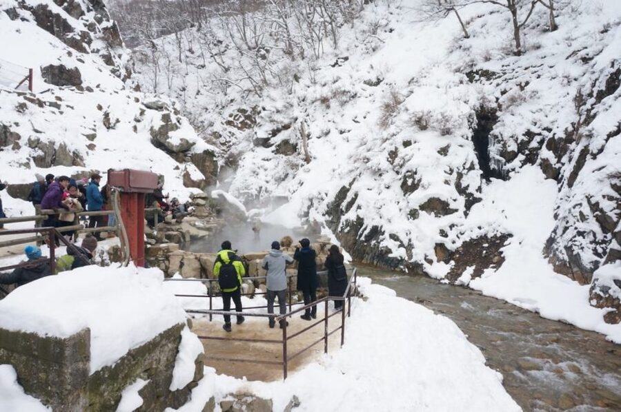 1 Day Tour: Snow Monkeys & Snow Fun in Shiga Kogen - Price and value at $165: what you’re really paying for