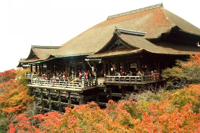 10 Must-see Spots in Kyoto One Day Private Tour (up to 7 people) - Arashiyama Kimono Forest: The Quick, Fun Instagram Stop