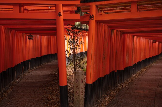 10 Must-see Spots in Kyoto One Day Private Tour (up to 7 people) - Stop 6: Fushimi Inari-taisha, Torii Gates and Big Symbol Energy
