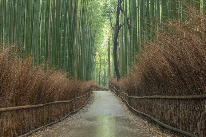 10 Must-see Spots in Kyoto One Day Private Tour (up to 7 people) - Arashiyama in Motion: Bamboo Forest, Tenryu-ji, Bridge Views