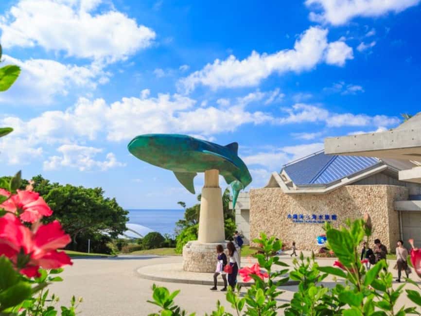 <1Dya Tour>Churaumi Aquarium, Cape Manzamo, American Village - Key highlights worth knowing before you go