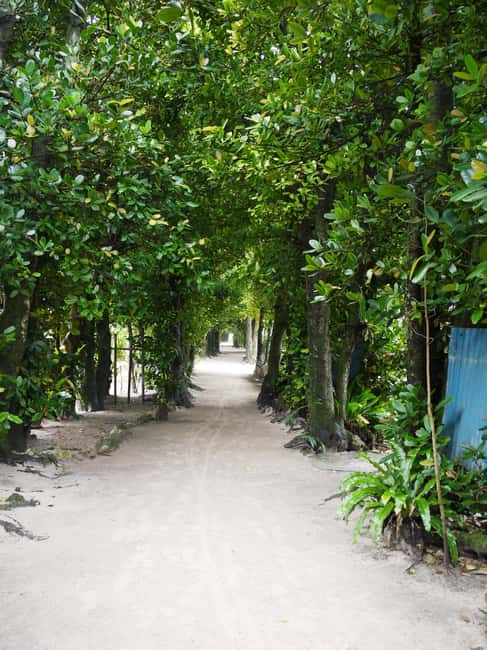 <1Dya Tour>Churaumi Aquarium, Cape Manzamo, American Village - Who should book this tour, and who should skip it