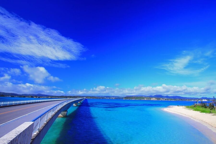 <1Dya Tour>Churaumi Aquarium, Cape Manzamo, American Village - A one-day Okinawa sampler with a smart geographic route