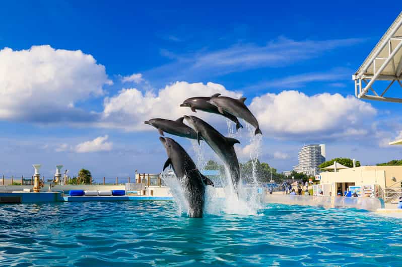 <1Dya Tour>Churaumi Aquarium, Cape Manzamo, American Village - Cape Manzamo and the Elephant Rock cliff views