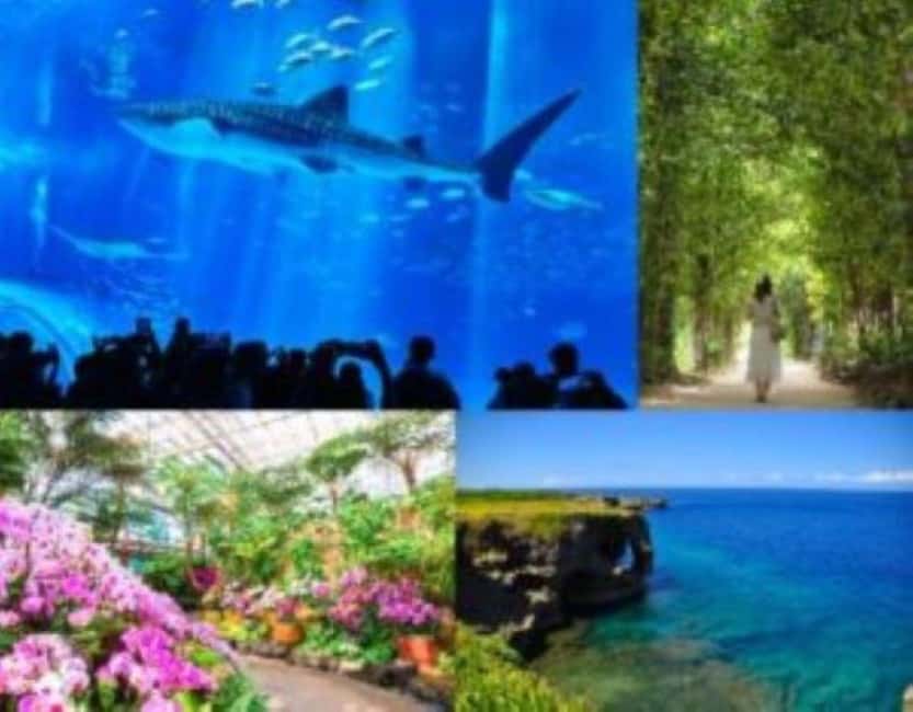 <1Dya Tour>Churaumi Aquarium, Cape Manzamo, American Village - Morning pickup timing, where to wait, and how not to lose the bus