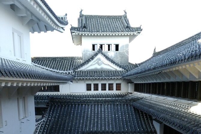2.5 Hour Private History and Culture Tour in Himeji Castle - Price, entrance fee, and whether this is good value for your group