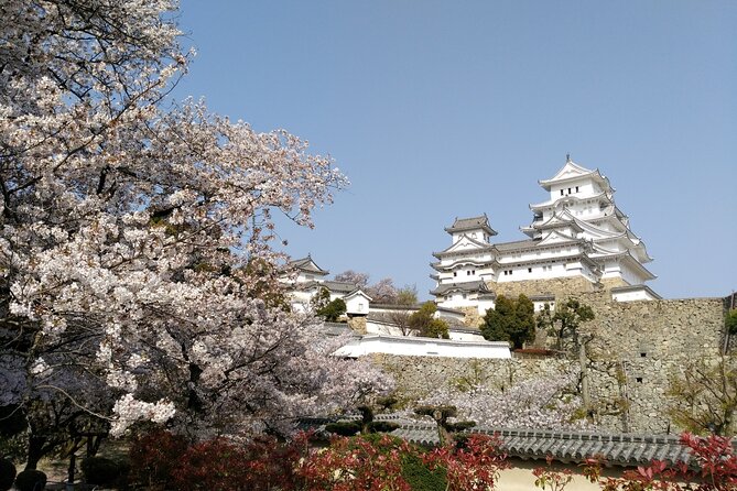 2.5 Hour Private History and Culture Tour in Himeji Castle - Who this private Himeji Castle tour fits best