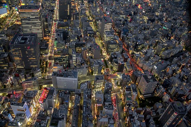 25-Min Downtown Helicopter Tour : Tokyo Skytree and Tokyo Tower - Who This Tour Fits Best
