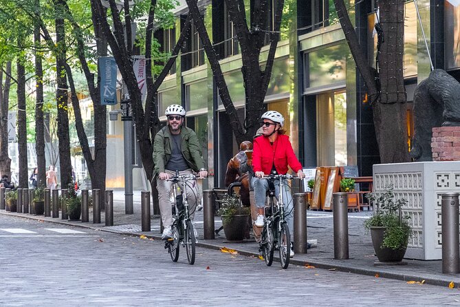 3-Hour Tokyo Private E-Bike Tour Starting from Your Hotel - Key things you’ll like about this tour