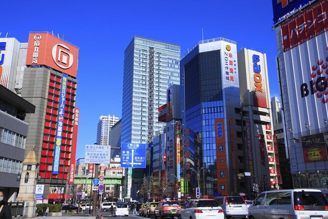 3h Tokyo E-Bike Tour: Hidden Gems, and Local Life with guide - Key things that make this Tokyo e-bike tour work