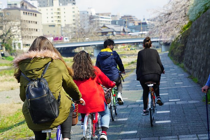4.5-Hour Kyoto Bike Tour with Lunch and UNESCO Zen Temples - Heian Shrine pass-by: a quick taste of a bigger Kyoto picture