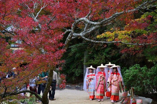 4 Hour Miyajima PRIVATE Tour - Shishiiwa Tenbodai: sea views, Torii views, and the payoff