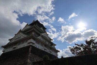 Osaka Castle: Museum and Tower Entry Ticket