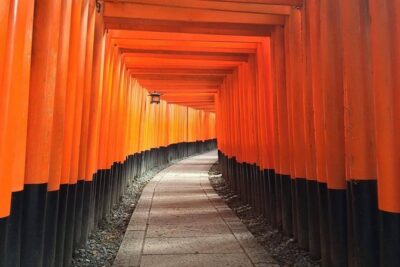 5 Top Highlights of Kyoto Full Day Bike Tour (E-bike option)