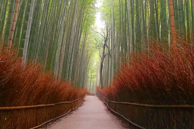 5 Top Highlights of Kyoto Full Day Bike Tour (E-bike option) - What’s Included in the Price, and Why It Matters