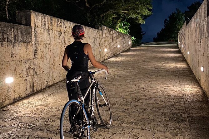 Afternoon Adventure: Okinawa Local Cycling with Spectacular Views - Starting at e-CHARIty by Makishi Monorail: Quick Setup, Then You Roll