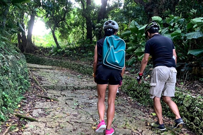Afternoon Adventure: Okinawa Local Cycling with Spectacular Views - Price and Value: What $99.10 Really Buys You