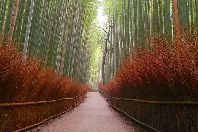 Afternoon Kyoto Bike Tour: Bamboo Forest, Monkeys & Hidden Spots - Tenryu-ji Temple Sogenchi Teien: a World Heritage garden break