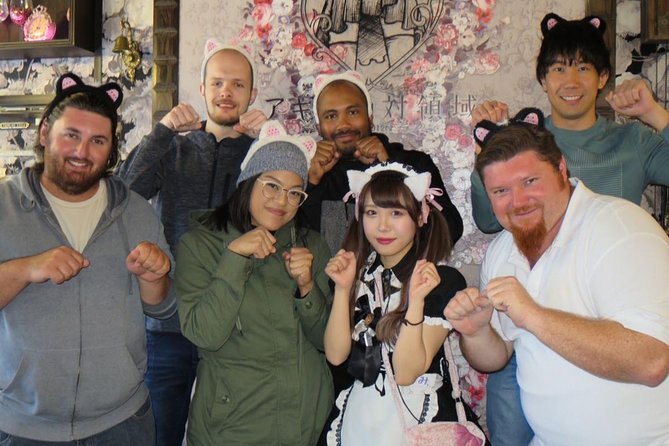 Akihabara Anime & Game Adventure Walking Tour (Group or Private) - Entering Electric Town: Where You Start and What to Expect
