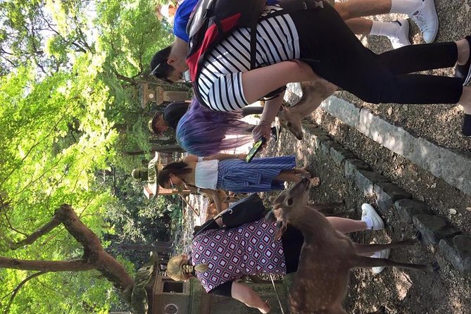 All must-sees in 3 hours - Nara Park Classic Tour! From JR Nara! - Kofuku-ji pagoda and an ending that sets up your afternoon