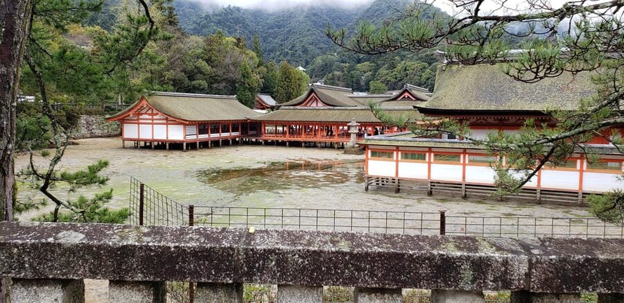 Amazing Hiroshima: Private City Tour with a Local Guide - Getting to Miyajima: how the transit affects your island time