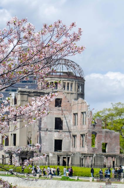 Amazing Hiroshima: Private City Tour with a Local Guide - From pickup to the right tone: meeting your guide and setting expectations