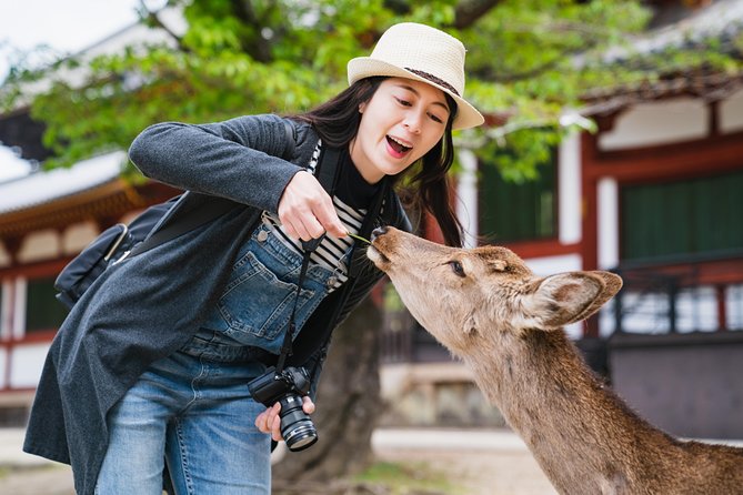 Ancient Capital Tour: Kyoto and Nara Highlights from Kyoto/Osaka - Key points worth knowing
