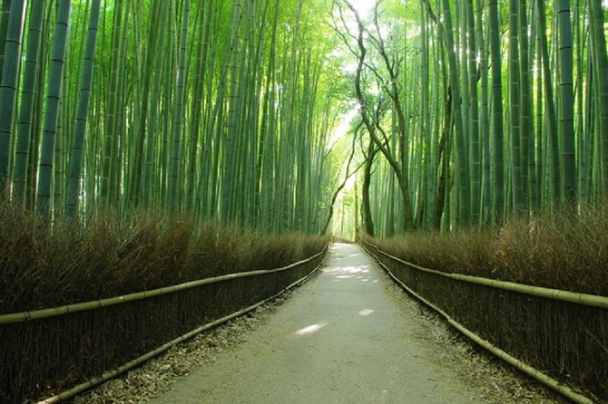 Ancient Capital Tour: Kyoto and Nara Highlights from Kyoto/Osaka - Pacing, Walking, and How to Enjoy the Day More