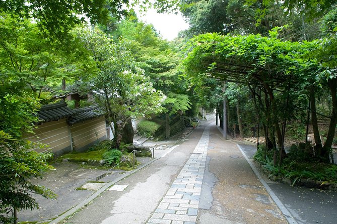 Arashiyama Bamboo Forest E-Biking Tour - Why Riding an E-Bike in Arashiyama Beats Walking