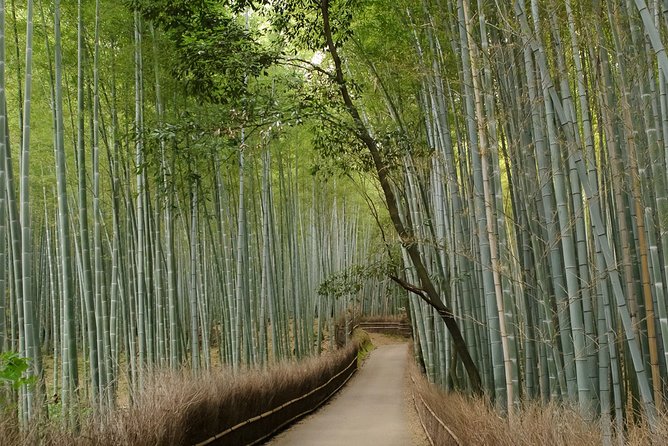Arashiyama Bamboo Forest E-Biking Tour - Stop 1: Otagi Nenbutsu-ji Temple and the Laughing Buddha Factor