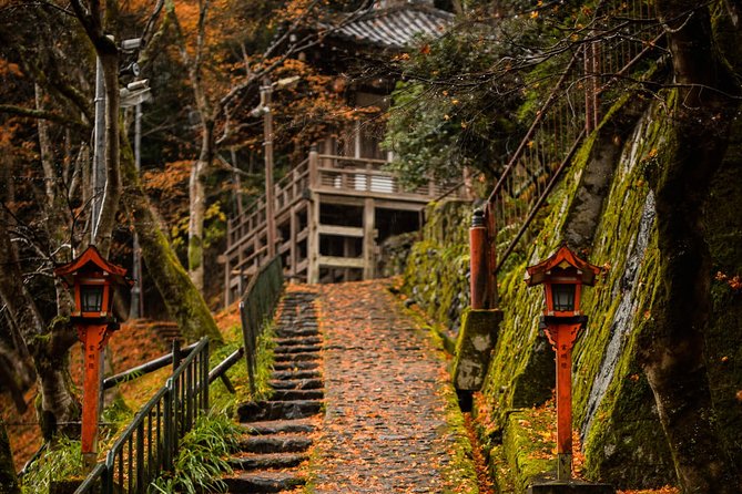 Arashiyama Bamboo Forest E-Biking Tour - Stop 2: Tōji-in Temple for Mossy Calm