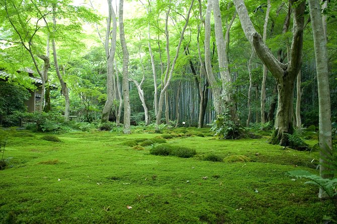 Arashiyama Bamboo Forest E-Biking Tour - How the Ride Connects the City and the Countryside