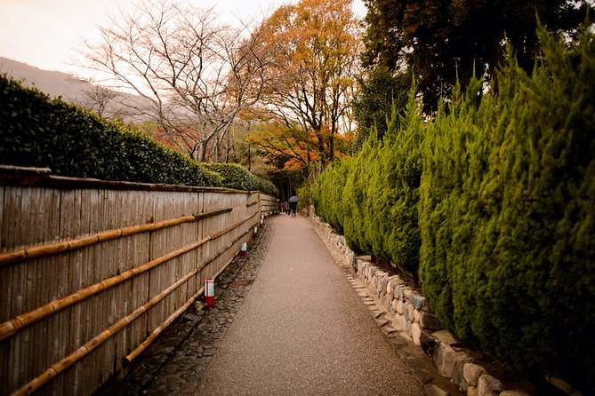 Arashiyama Bamboo Forest E-Biking Tour - Guides, Humor, and Why the Story Matters