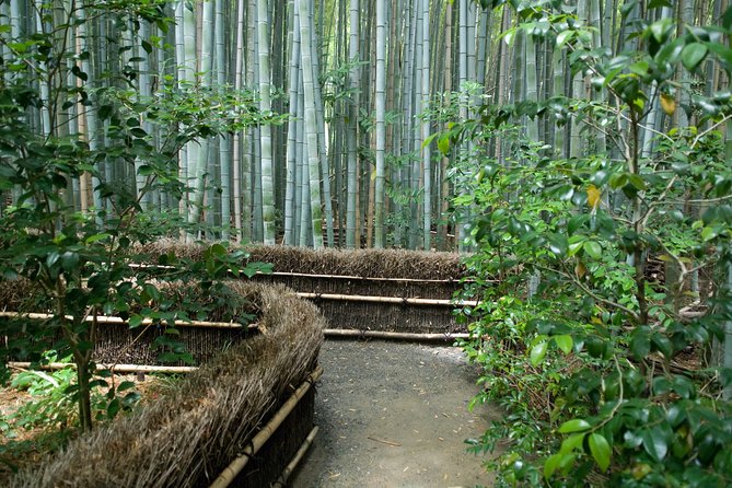 Bamboo grove path at Arashiyama, western Kyoto
