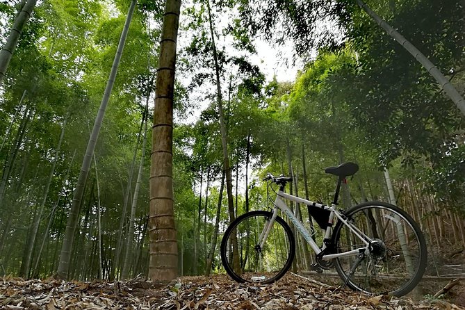 Arashiyama Bamboo Forest & Hidden Gems Bike Tour (Early Bird) - Arashiyama cycling between temples, shrines, and backstreets