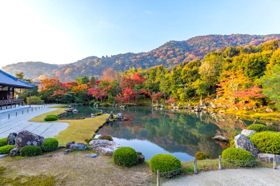 Arashiyama Bamboo, Temple, Monkeys, or Secret Sake Brewery - Tenryuji Temple and the koi pond moment
